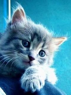 Other Wallpapers 0773